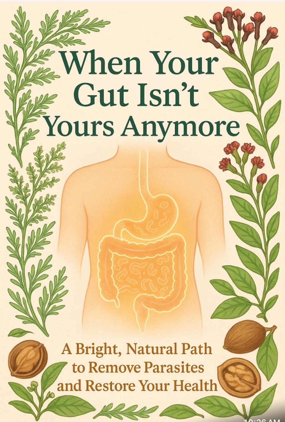 The Hidden Gut Health Crisis - Free Guide